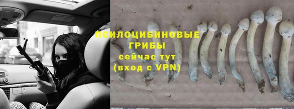 бошки Абинск