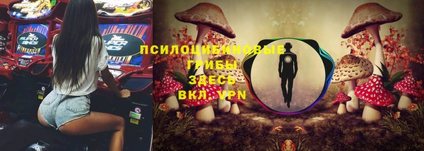бошки Абинск