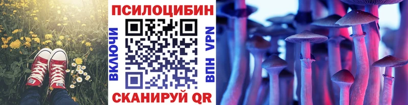 Галлюциногенные грибы Magic Shrooms  продажа наркотиков  Назрань 