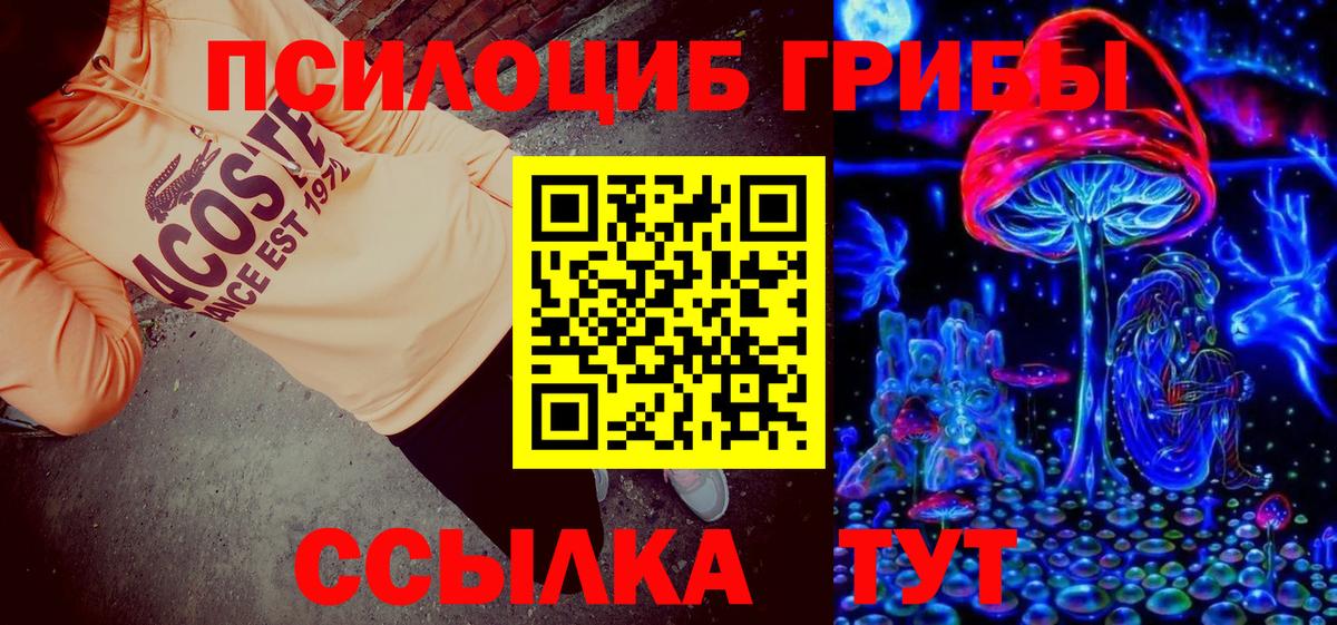 Галлюциногенные грибы Cubensis Назрань